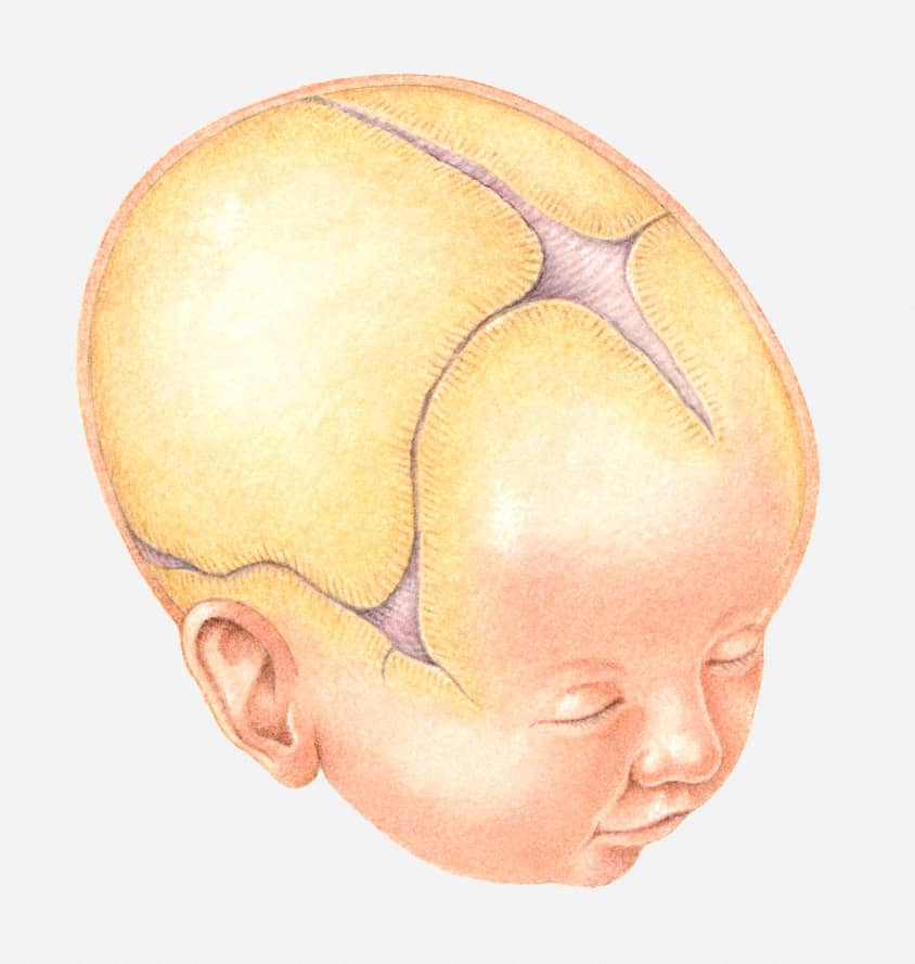 What Every Parent Should Know if their Baby has a Fontanelle